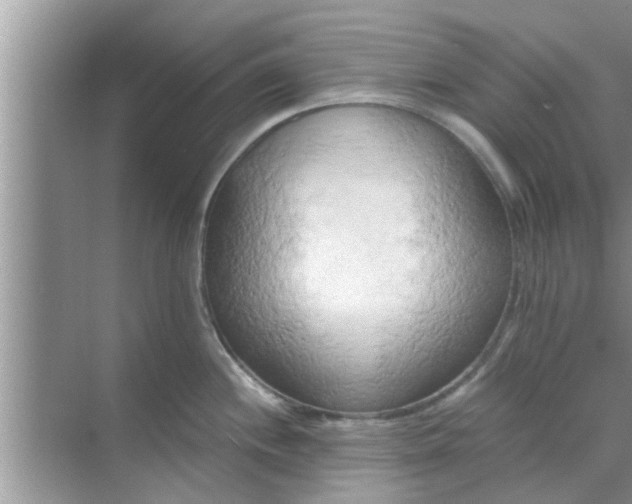 X0000068751244200605121601