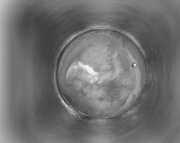 X0000068751245200605121601