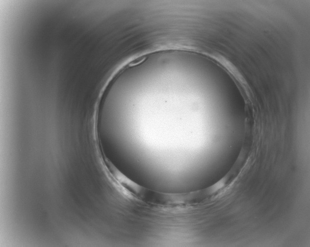 X0000068751246200605121601