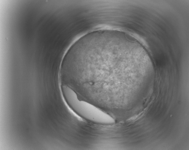 X0000068751247200605121601