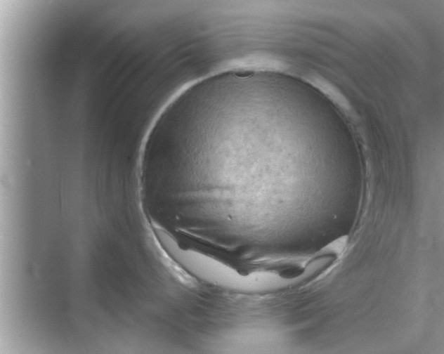 X0000068751248200605121601