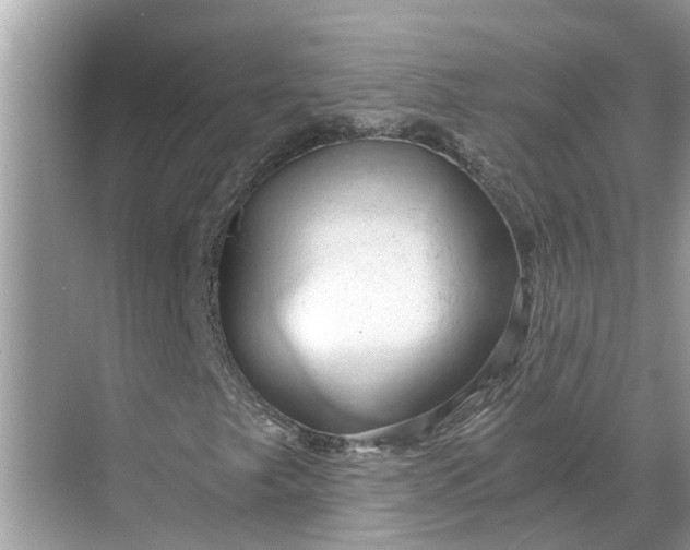 X0000068751249200605121601