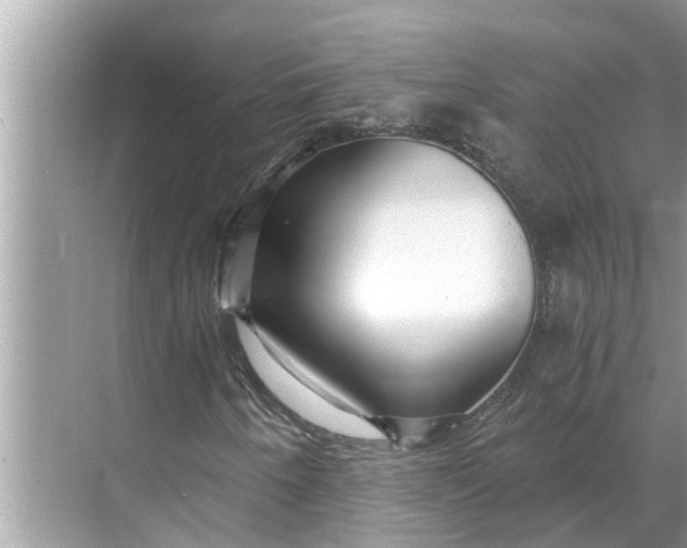 X0000068751250200605121601