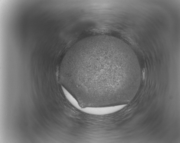 X0000068751251200605121601