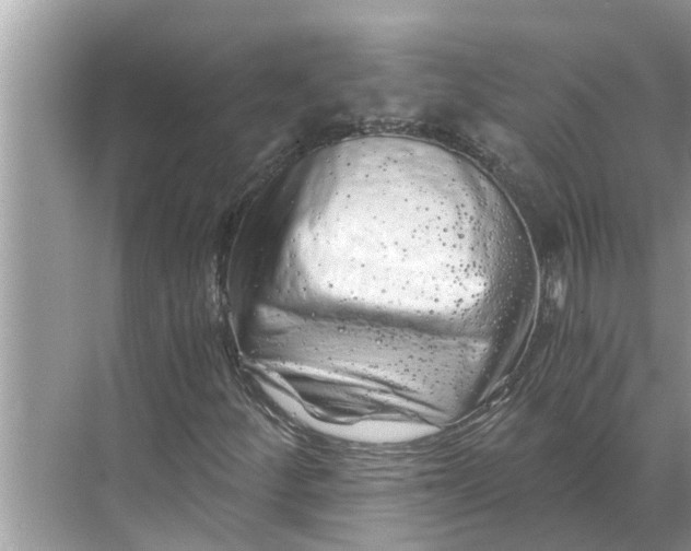 X0000068751252200605121601