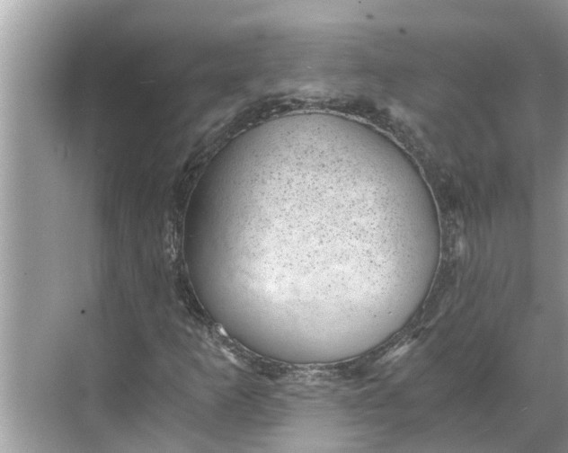 X0000068751253200605121601