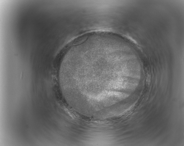 X0000068751255200605121601