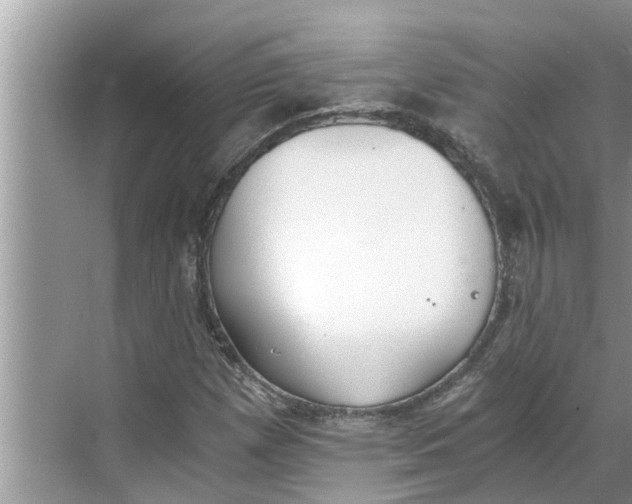 X0000068751257200605121601