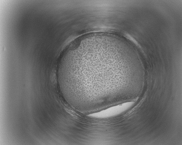 X0000068751259200605121600