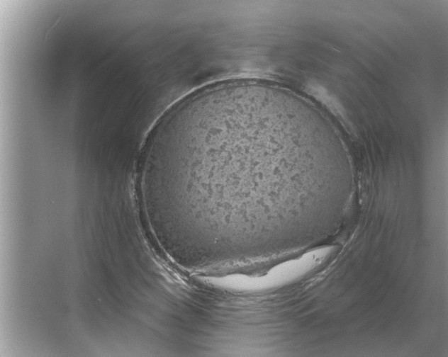 X0000068751260200605121600