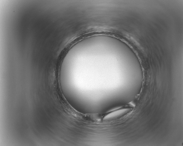 X0000068751261200605121600