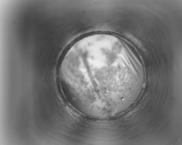 X0000068751264200605121600