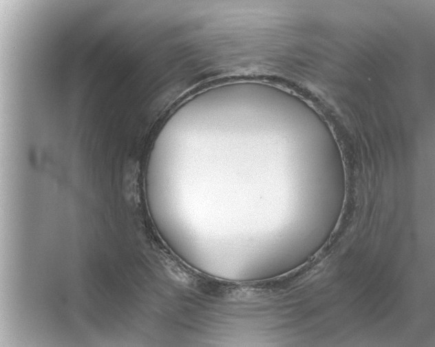 X0000068751265200605121600