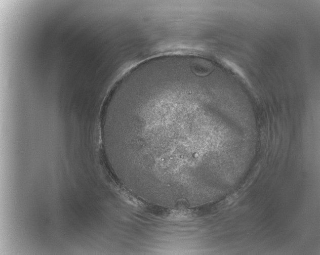 X0000068751267200605121600