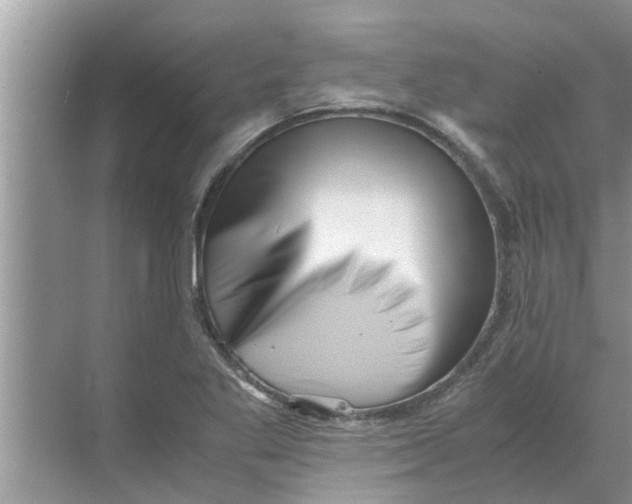 X0000068751269200605121600