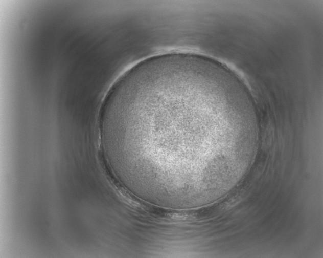 X0000068751271200605121600