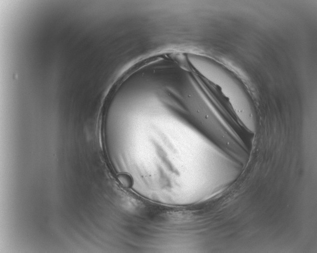 X0000068751272200605121600