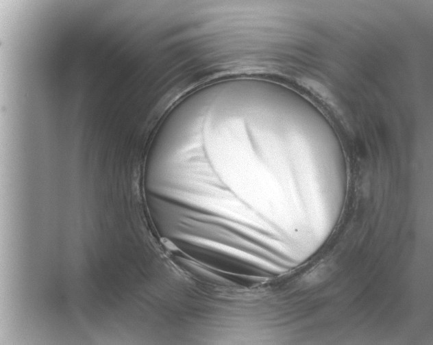 X0000068751273200605121600