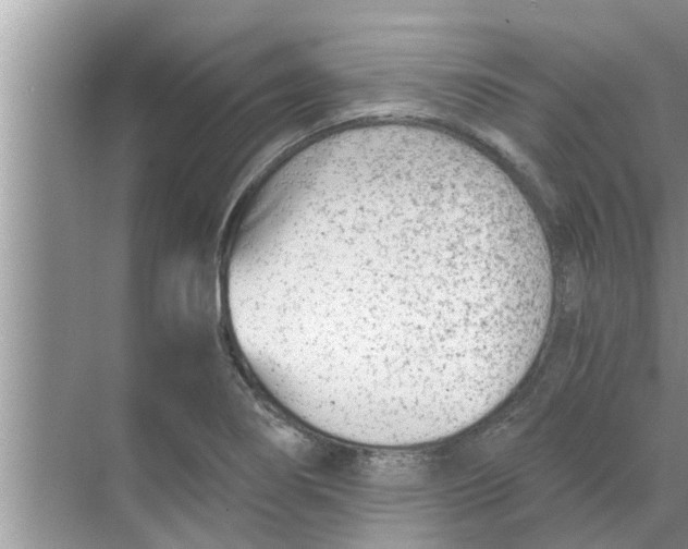 X0000068751274200605121600