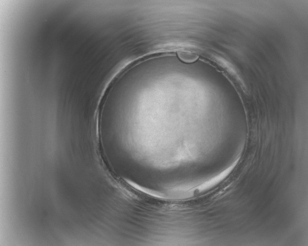 X0000068751275200605121600