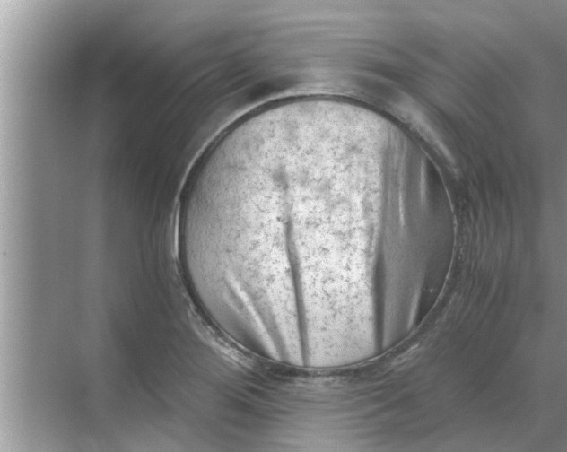 X0000068751276200605121600