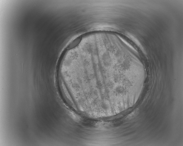 X0000068751277200605121600