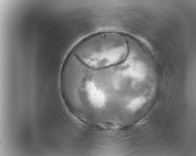 X0000068751279200605121600