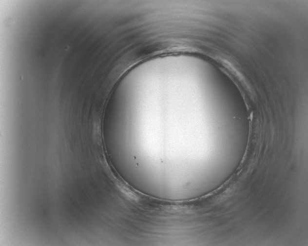 X0000068751281200605121600