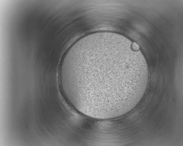 X0000068751282200605121600