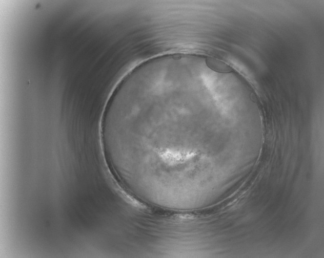 X0000068751283200605121600