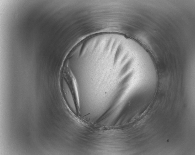 X0000068751284200605121600