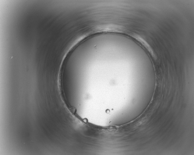 X0000068751285200605121600