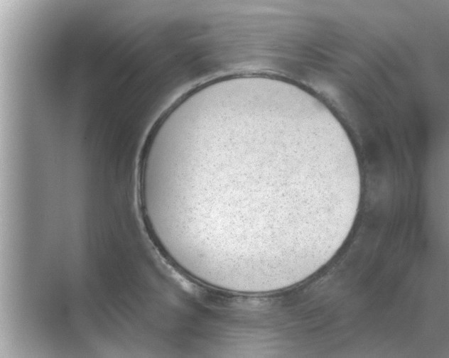 X0000068751286200605121600