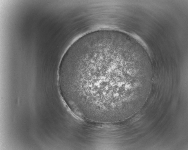 X0000068751287200605121600