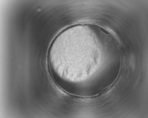 X0000068751288200605121600