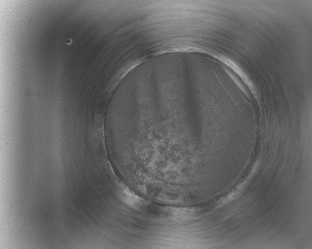 X0000068751289200605121600