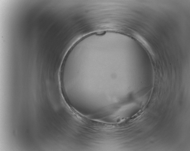 X0000068751291200605121600