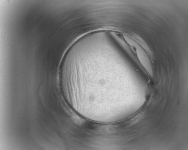 X0000068751292200605121600