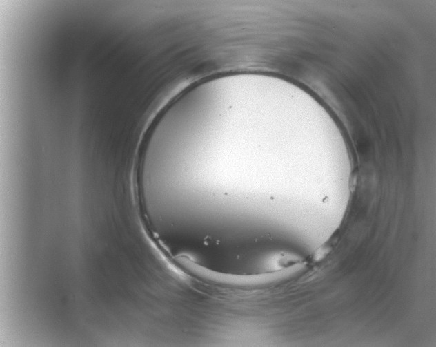 X0000068751293200605121600