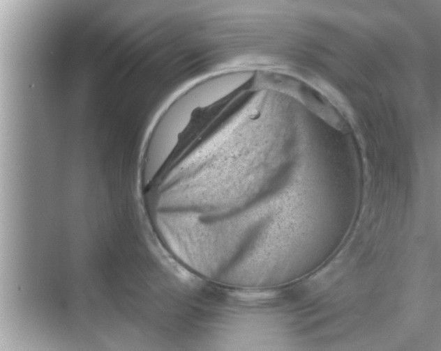 X0000068751296200605121600