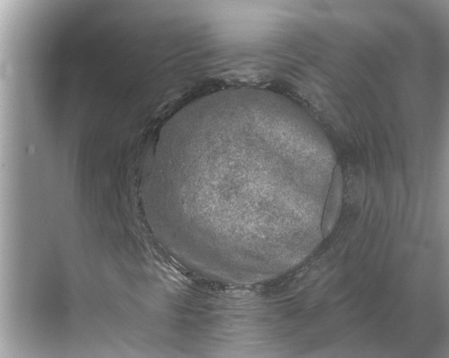 X0000068751297200605121559