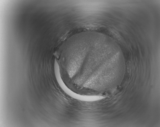 X0000068751298200605121559