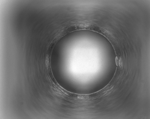 X0000068751299200605121559