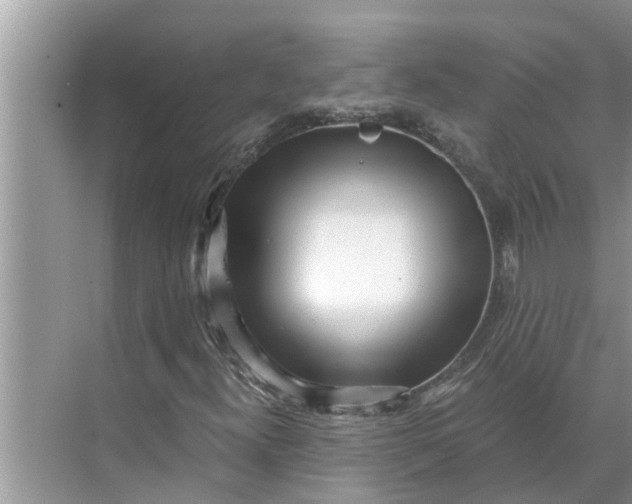 X0000068751300200605121559