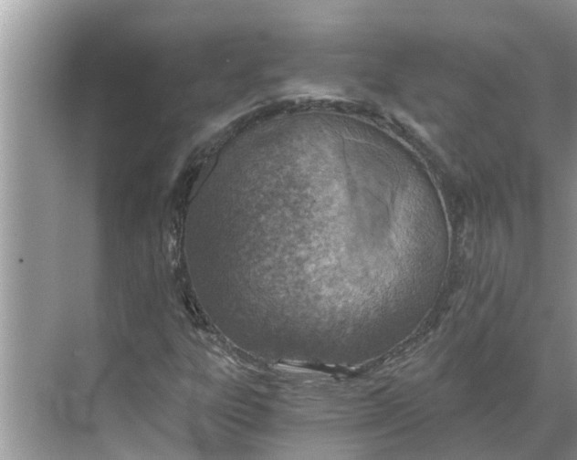 X0000068751303200605121559