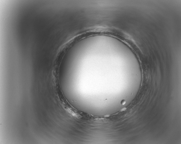 X0000068751304200605121559