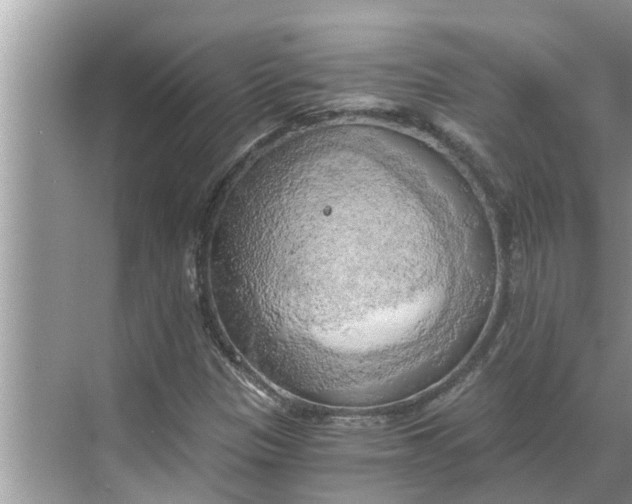 X0000068751305200605121559