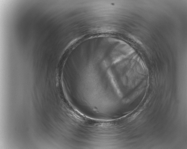 X0000068751306200605121559