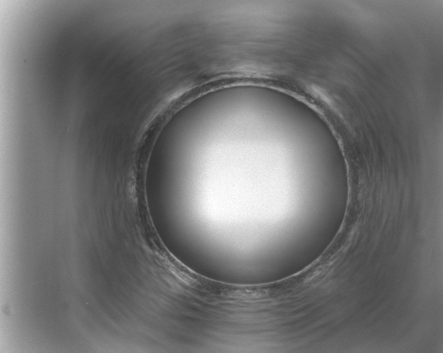 X0000068751307200605121559