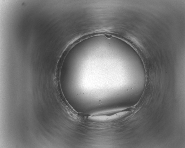 X0000068751308200605121559